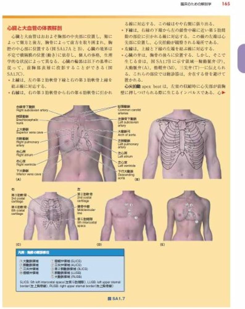 臨床のための解剖学 | 佐藤達夫, 佐藤達夫, 坂井建雄 |本 | 通販 | Amazon