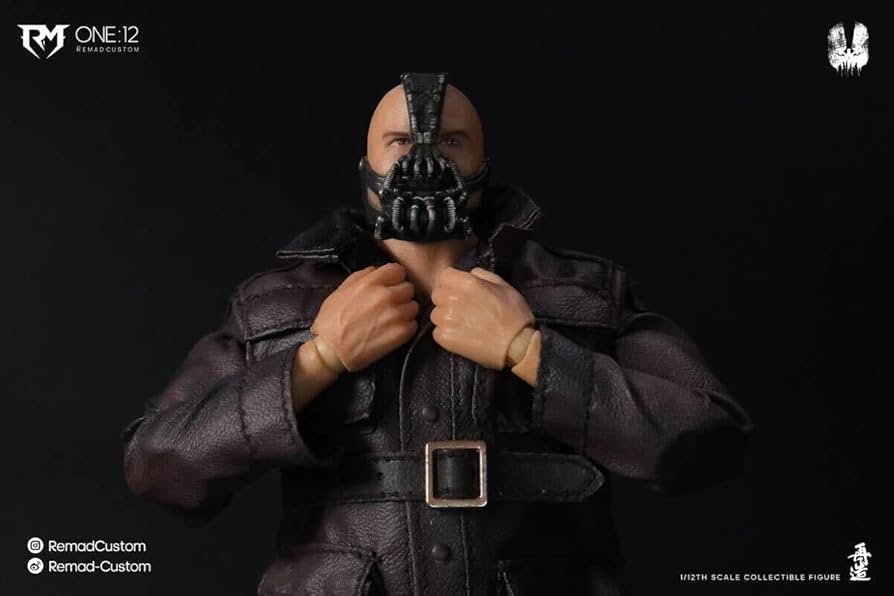 Amazon.co.jp: Remad Custom 1/12 DESTROYER BATS KILLER B.Ver 未開封