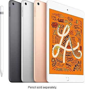Amazon.com : Apple iPad Mini 5th Generation, Wi-Fi, 256GB - Silver