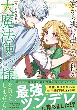 家から逃げ出したい私が、うっかり憧れの大魔法使い様を買ってしまっ