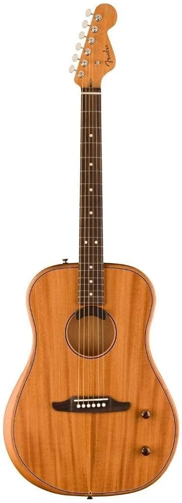 Amazon | Fender フェンダー エレアコ Highway Series™ Dreadnought