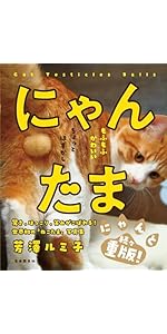 Amazon.co.jp: にゃんたま 電子書籍: 芳澤ルミ子: Kindleストア