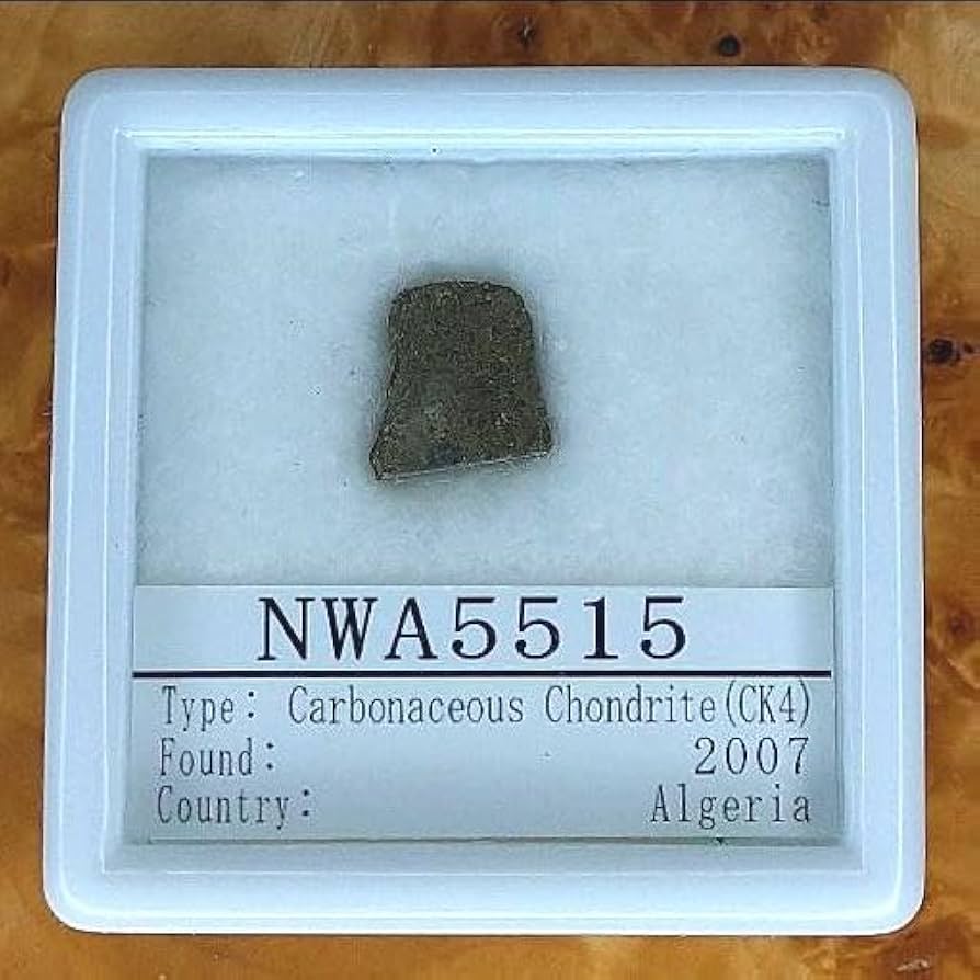 Amazon.co.jp: 炭素質隕石 カルーンダ タイプ NWA5515 隕石 標本