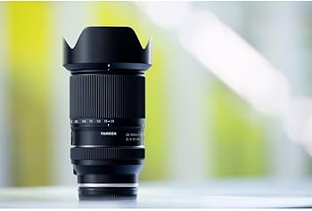 Amazon.com: Tamron 28-300mm f/4-7.1 Di III VC VXD Lightweight Lens