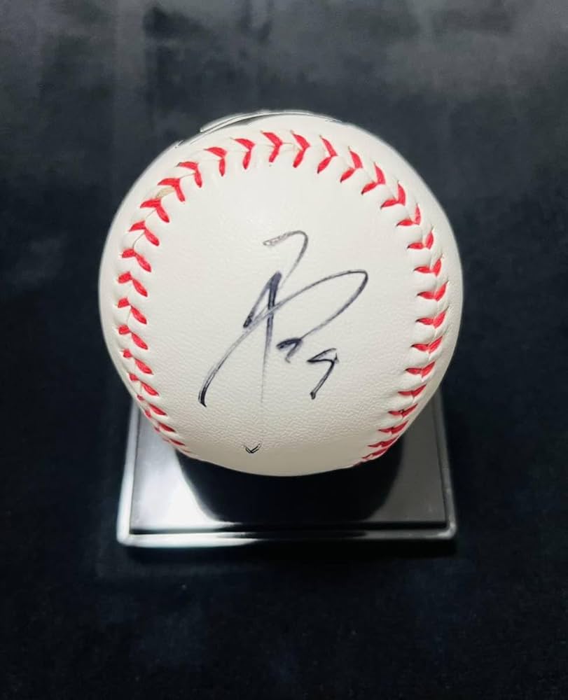 マンウィズ サインボール 甲子園ライブ ガウポン サインボール（54オスナ）