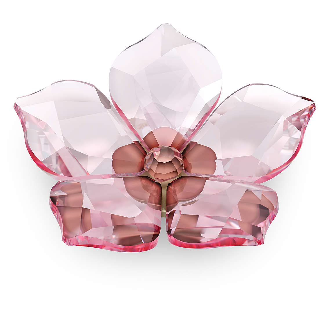 Amazon.co.jp: スワロフスキー ガーデン テイルズ 桜 マグネット