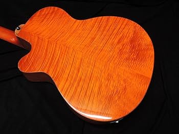 Amazon | 【特別カラー】ARIA FET-F2 BSG Fホールエレアコ オリジナル