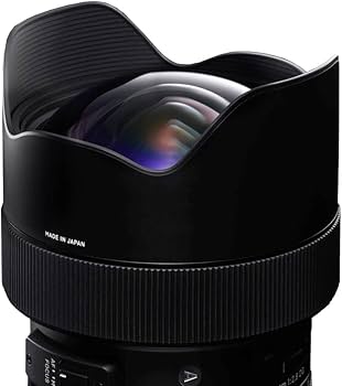 Amazon.co.jp: シグマ(Sigma) レンズ 14-24mm F2.8 DG HSM Nikon