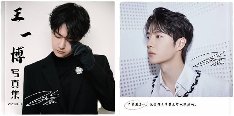 Amazon.co.jp: 月見竹取 王一博 ワンイーボー 中国俳優写真集 : ホーム