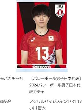 51ZLbCiWvEL._AC_UF350,