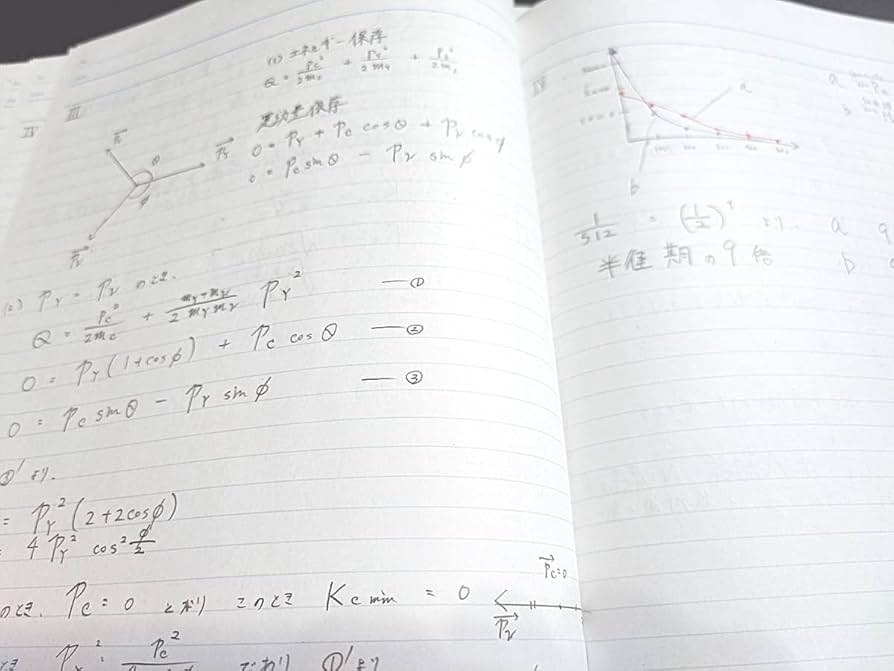 Amazon.co.jp: 東進 苑田先生 物理攻略 原子原子核 テキスト板書ノート