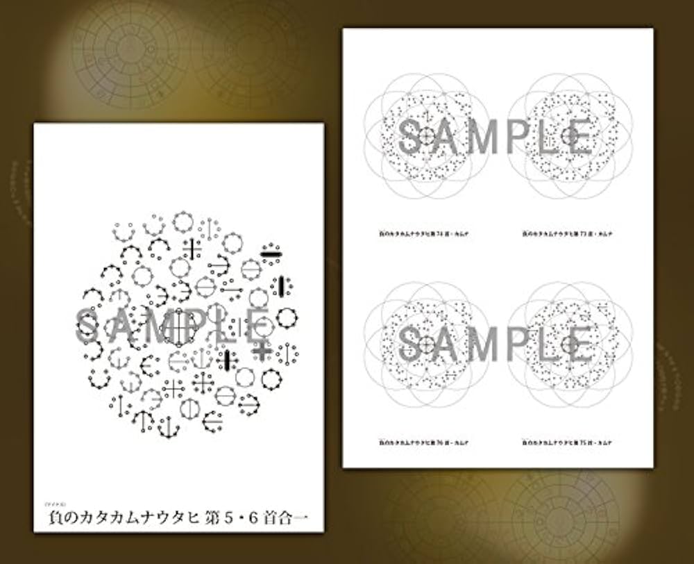 Amazon.co.jp: カタカムナ生命の書 図像集2 : 丸山修寛, 丸山修寛: 本