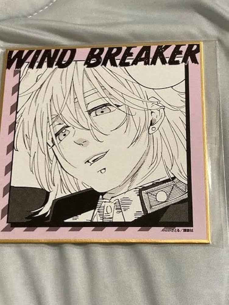 Amazon.co.jp: WIND BREAKER ウィンブレ 桐生三輝 くじメイト