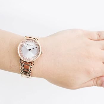 Amazon.co.jp: COACH コーチ PERRY ペリー 腕時計 時計 レディース 2針