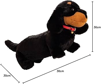 51cbpvkzQJL._AC_UF350,