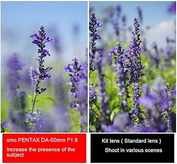 Pentax DA 50mm f1.8 Lens for Pentax DSLR Cameras : Amazon.in