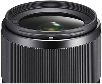 Amazon.com : Sigma 35mm F1.4 DG DN for L Mount : Electronics