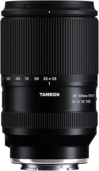 Amazon.com : Tamron 28-300mm F/4-7.1 Di III VC VXD for Sony E