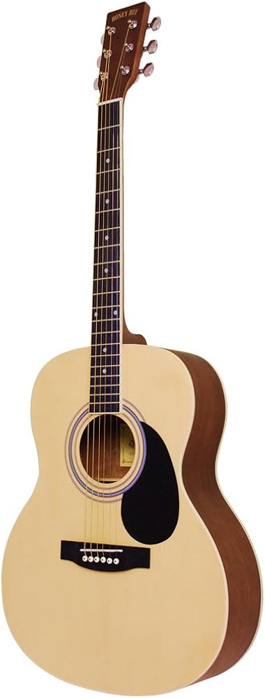 Amazon | HONEY BEE アコースティックギター フォークギタータイプ F