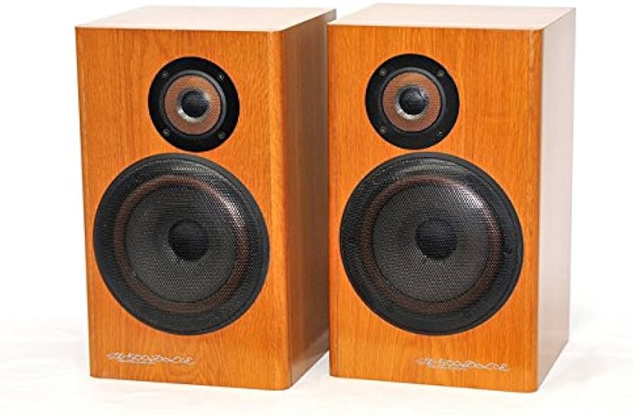 Amazon.co.jp: Victor ビクター JVC SX-500DOLCE 2ウェイ・スピーカー