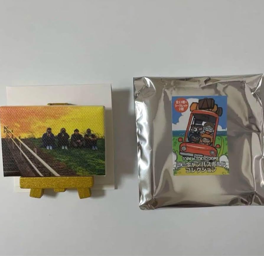 Amazon.co.jp: TOP4 ミニキャンバスボードコレクション 異物混入