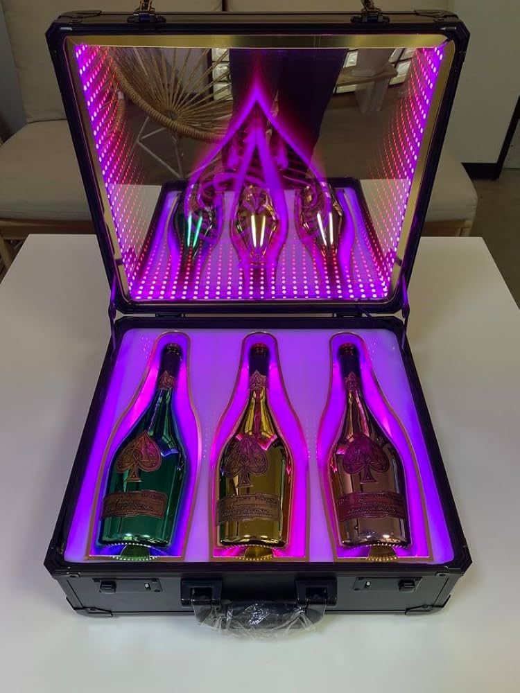 Amazon.co.jp: アルマンドアタッシュケース シャンパン LED 3本収納