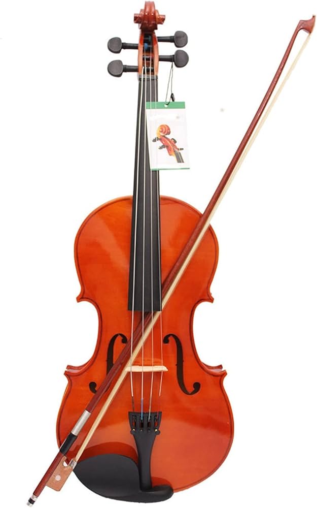 Amazon.co.jp: バイオリン楽器 16インチのヴィオラ耐久4/4フルサイズの