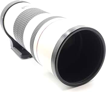 Amazon.com : Canon EF 300mm f/4L IS USM Telephoto Fixed Lens for