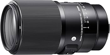 Amazon.com : Sigma 105mm F2.8 DG DN Macro Art (Sony E-mount