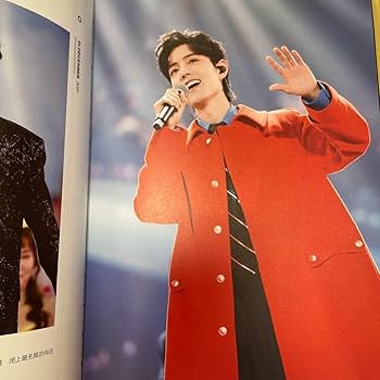 Amazon.co.jp: 陳情令 王一博 肖戰 肖战 bjyx 写真集rose kiss secret