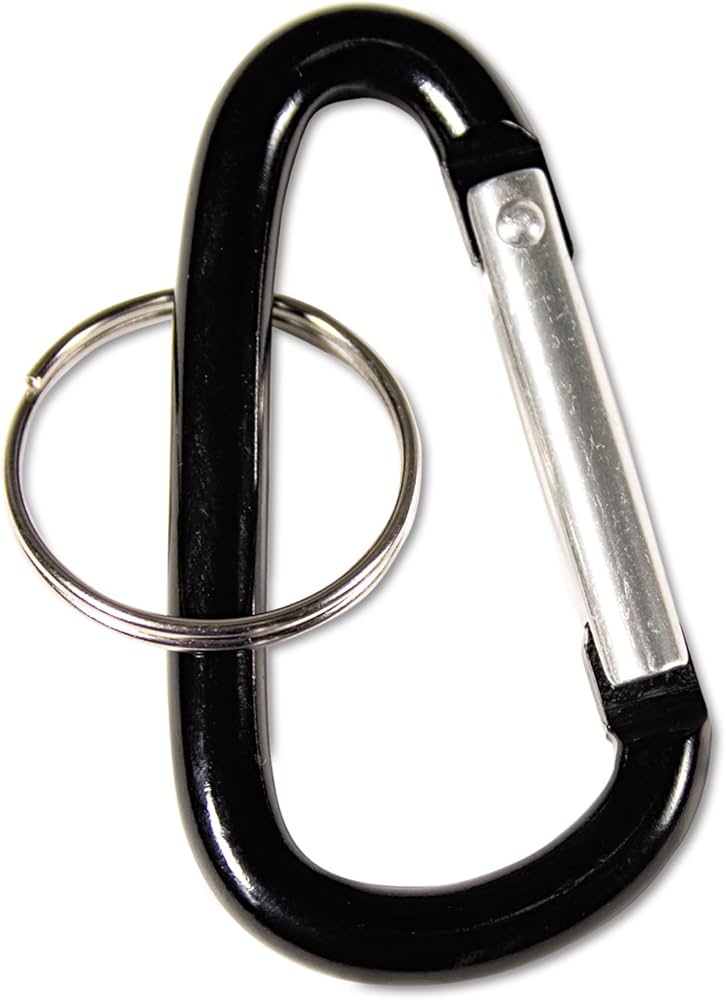 Amazon.com: Advantus 75555 Carabiner Key Chains, Split Key Rings