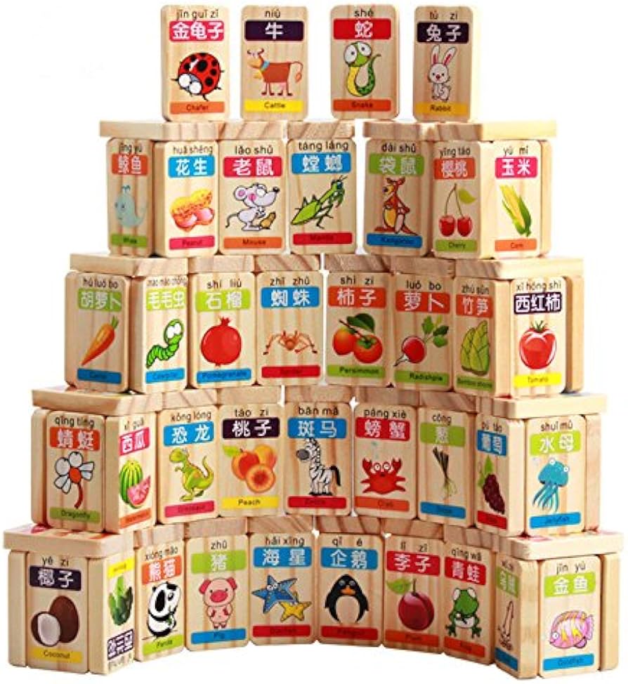 Amazon.com: Guaishou New Chinese English Language Learning Wooden