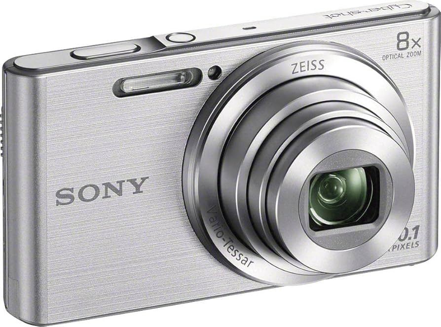 Amazon.com : Sony Cyber-Shot DSC-W830 (20.5 MP,8 x Optical Zoom