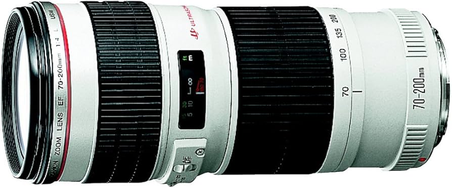 Amazon.com : Used Canon 70-200mm F4 L is USM Lens W/Lens Hood