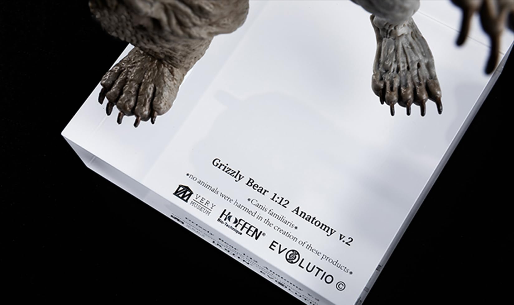 Amazon.co.jp: BACALYSO | EVO 1/12 サイズ クマ フィギュア 29cm級