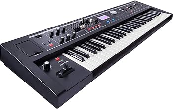 Amazon.com: Roland VR-09-B 'V-Combo' | Travel-Ready 61-Note
