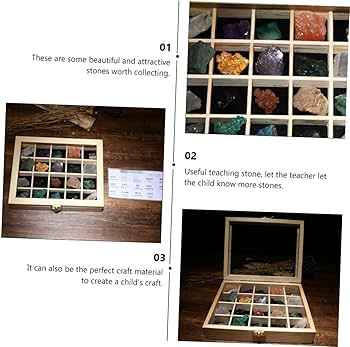 Amazon | GARVALON 教育用鉱物標本セット 20個 天然鉱石 石