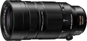 Amazon.com : Panasonic LUMIX Micro Four Thirds Camera Lens, Leica