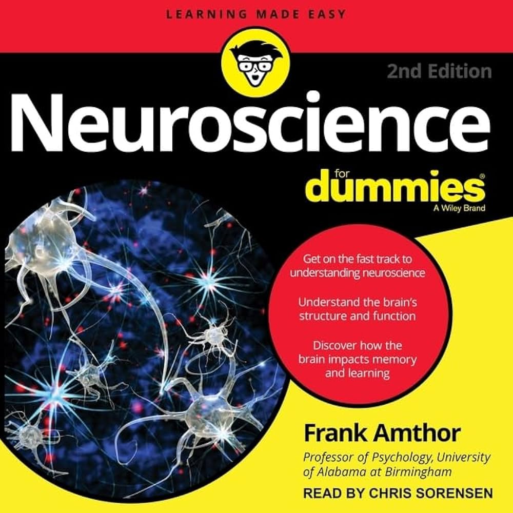 Neuroscience For Dummies: 2nd Edition: Frank Amthor: 9798200334544