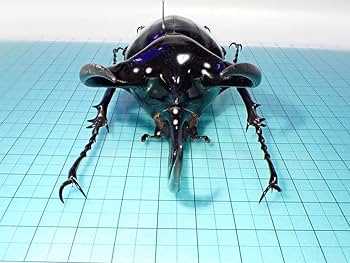 Amazon.co.jp: 標本コーカサスオオカブト マレーシア産 109.3ミリ 野外