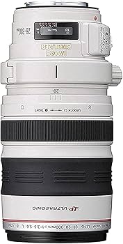 Amazon.co.jp: Canon 望遠ズームレンズ EF28-300mm F3.5-5.6L IS USM