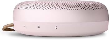 Amazon.com: Bang & Olufsen Beosound A1 (2nd Generation) Wireless
