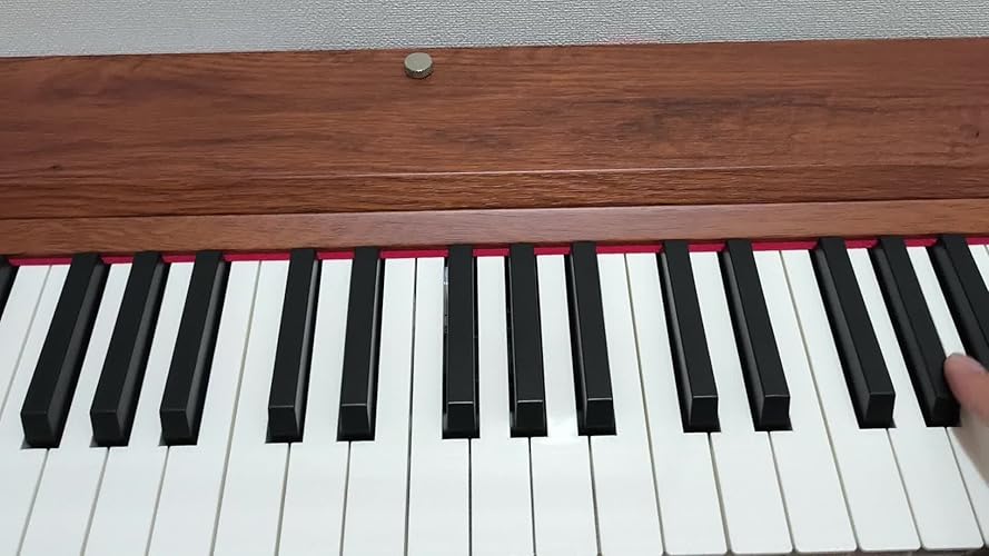 TERENCE 電子ピアノ 88鍵 カウンターウェイト鍵盤 木製 20W3ペダル