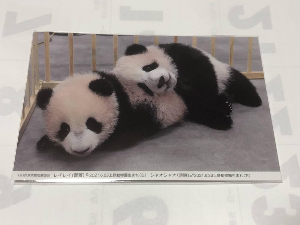 Amazon | 数量2シャオシャオ レイレイ 歴代パンダ オリジナル ポスト
