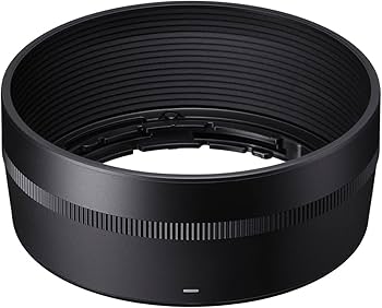 Amazon.co.jp: シグマ(Sigma) レンズ 56mm F1.4 DC DN Sony ソニー E
