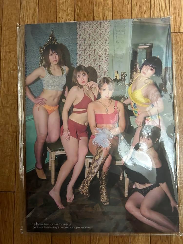 Amazon.co.jp: スターダム 写真集Bikiniing Winter岩谷麻優選手サイン