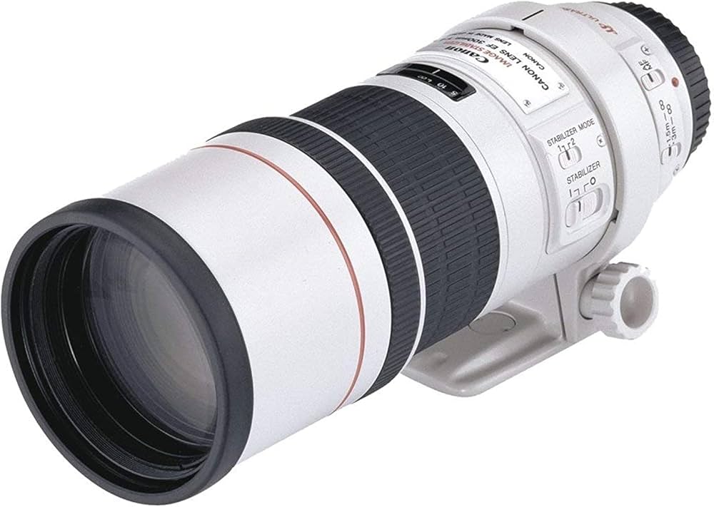 Canon EF 300mm f/4L is USM : Amazon.in: Electronics