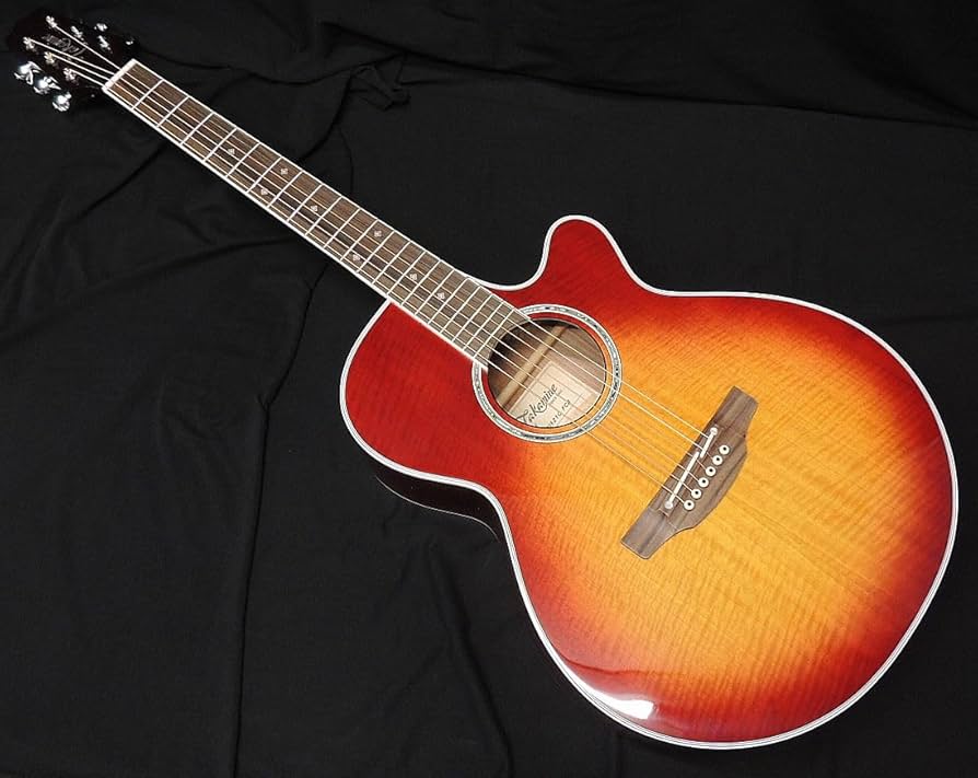 Amazon | Takamine PTU121C FCB エレアコ タカミネ アコースティック