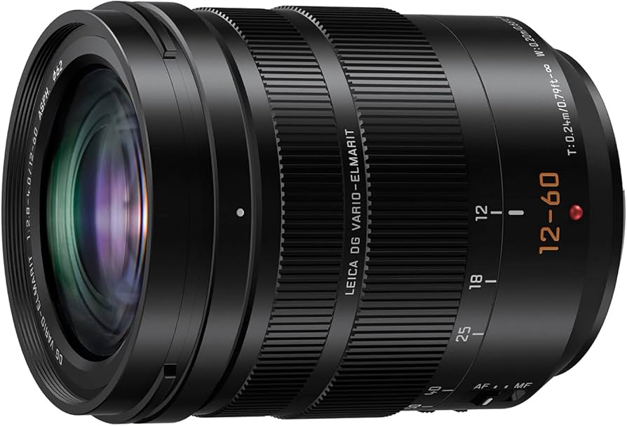 Amazon.com : Panasonic LUMIX Professional 12-60mm Camera Lens