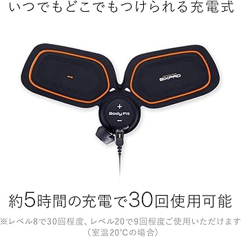 f*o様 SIXPADAbsFit 2 SIXPADBodyFit2 セット オ 動作確認済】SIXPAD